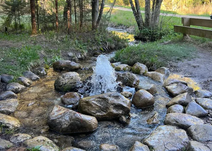 Janune Kaegu Pensjonat Koeru
